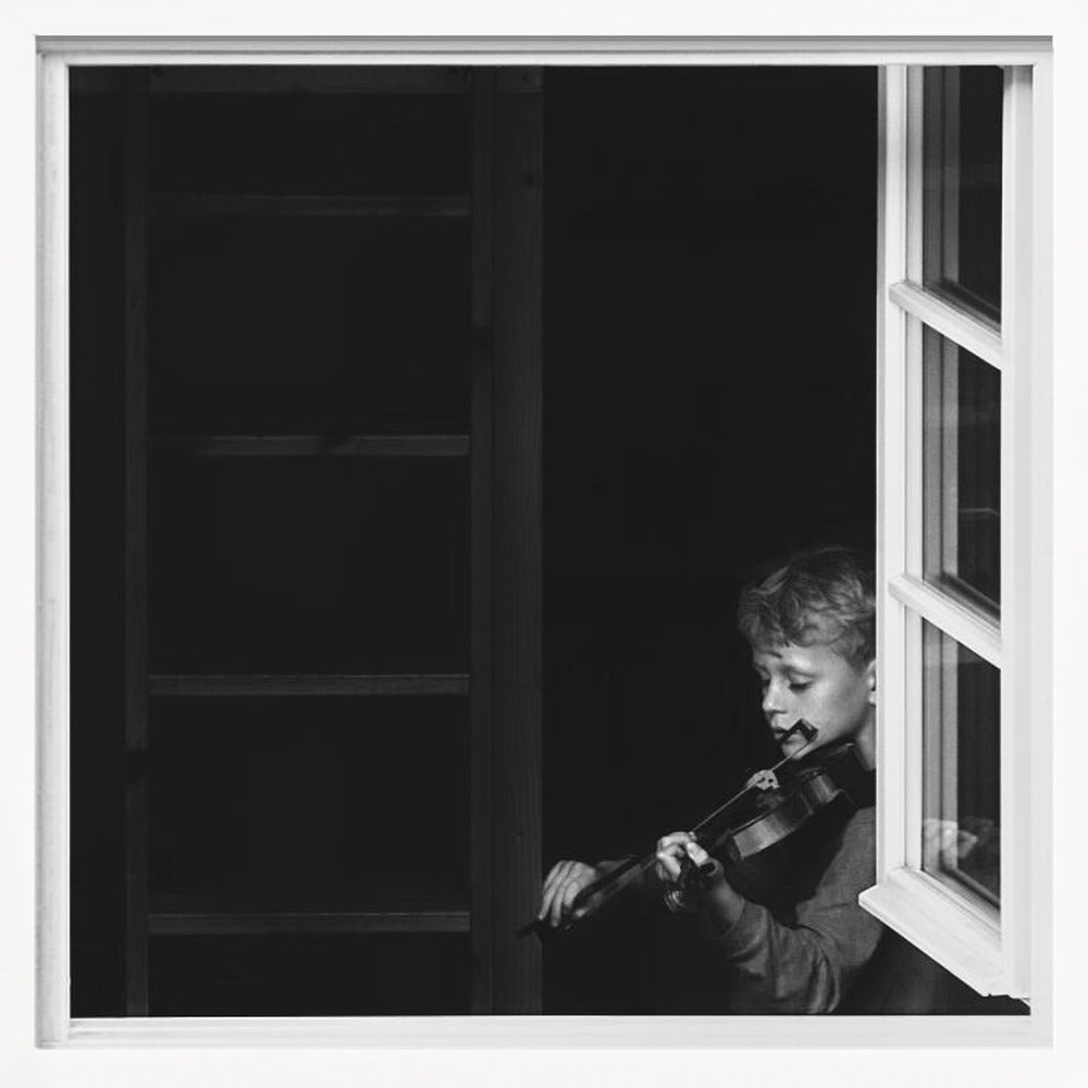 Violinist in the window - Poster / Art Print