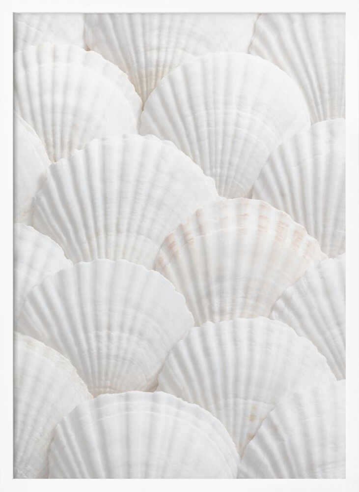 Shells_3 - Poster / Art Print