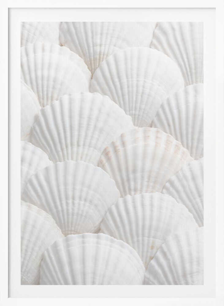 Shells_3 - Poster / Art Print