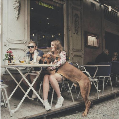 A framed photograph of a young couple sitting at an outdoor cafe. A woman in a floral shirt holds a large brown Rhodesian Ridgeback on her lap, while a man in sunglasses sits beside her. The dog stands with its front paws on the woman's lap and back paws on the wooden deck. The scene has a muted, warm tone. Poster