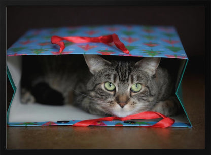 A close-up photograph of a grey tabby cat with bright green eyes peeking out from inside a blue holiday gift bag with a red ribbon in the foreground, all enclosed in a silver frame. Print