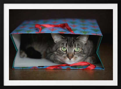A close-up photograph of a grey tabby cat with bright green eyes peeking out from inside a blue holiday gift bag with a red ribbon in the foreground, all enclosed in a silver frame. Print
