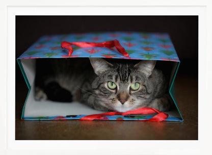 A close-up photograph of a grey tabby cat with bright green eyes peeking out from inside a blue holiday gift bag with a red ribbon in the foreground, all enclosed in a silver frame. Print