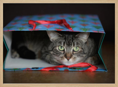 A close-up photograph of a grey tabby cat with bright green eyes peeking out from inside a blue holiday gift bag with a red ribbon in the foreground, all enclosed in a silver frame. Print
