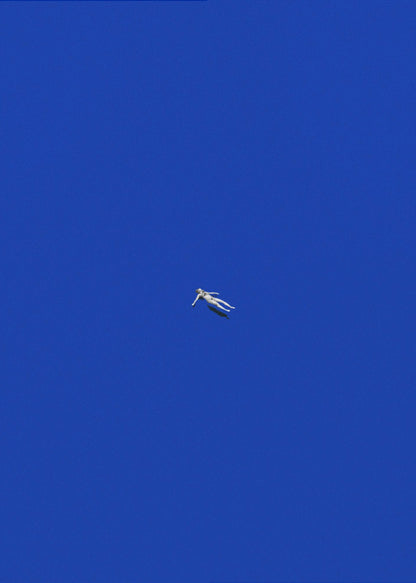 A minimalist and surreal artwork featuring a tiny, pale human figure floating peacefully in the center of an immense, solid, and vibrant blue void, all enclosed within a thin black frame. Wall Art