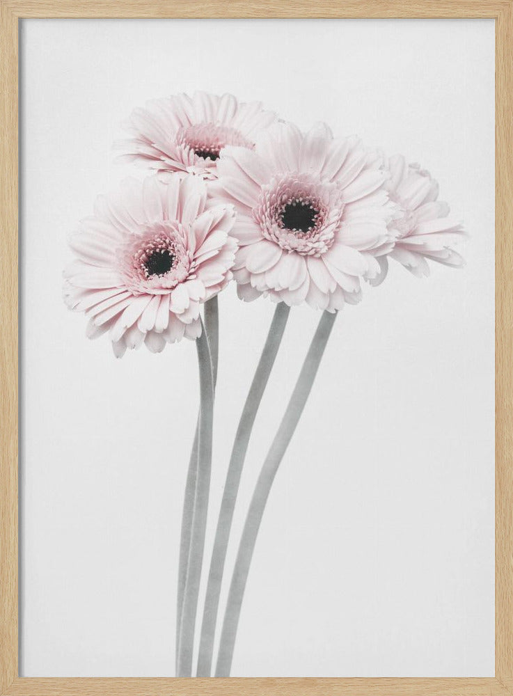 Pink Flowers - Poster / Art Print