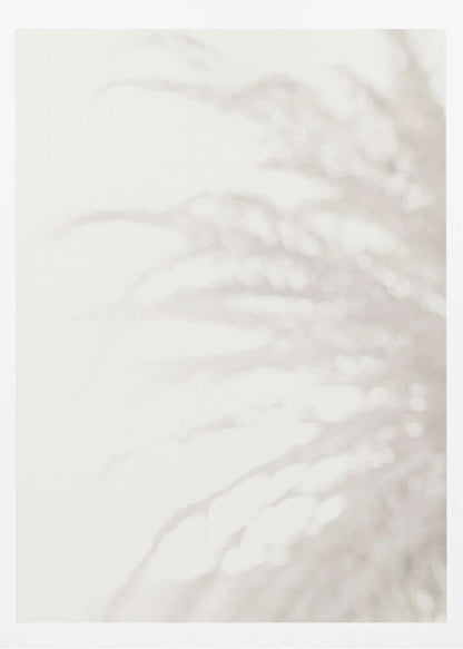 Soft focus photograph of a plant shadow on a light wall. Abstract and calming beige wall art with a minimalist feel.