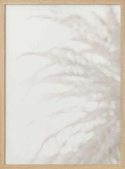 Soft focus photograph of a plant shadow on a light wall. Abstract and calming beige wall art with a minimalist feel.