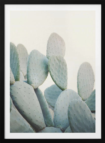 A close-up photograph of pale, dusty green prickly pear cactus pads against a bright, off-white background, presented in a minimalist style with a thin black frame. Artwork