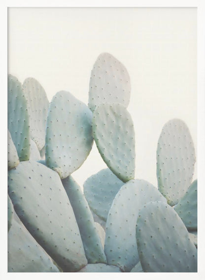 A close-up photograph of pale, dusty green prickly pear cactus pads against a bright, off-white background, presented in a minimalist style with a thin black frame. Artwork