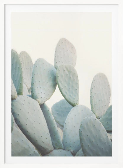 A close-up photograph of pale, dusty green prickly pear cactus pads against a bright, off-white background, presented in a minimalist style with a thin black frame. Artwork