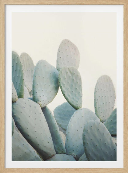 A close-up photograph of pale, dusty green prickly pear cactus pads against a bright, off-white background, presented in a minimalist style with a thin black frame. Artwork