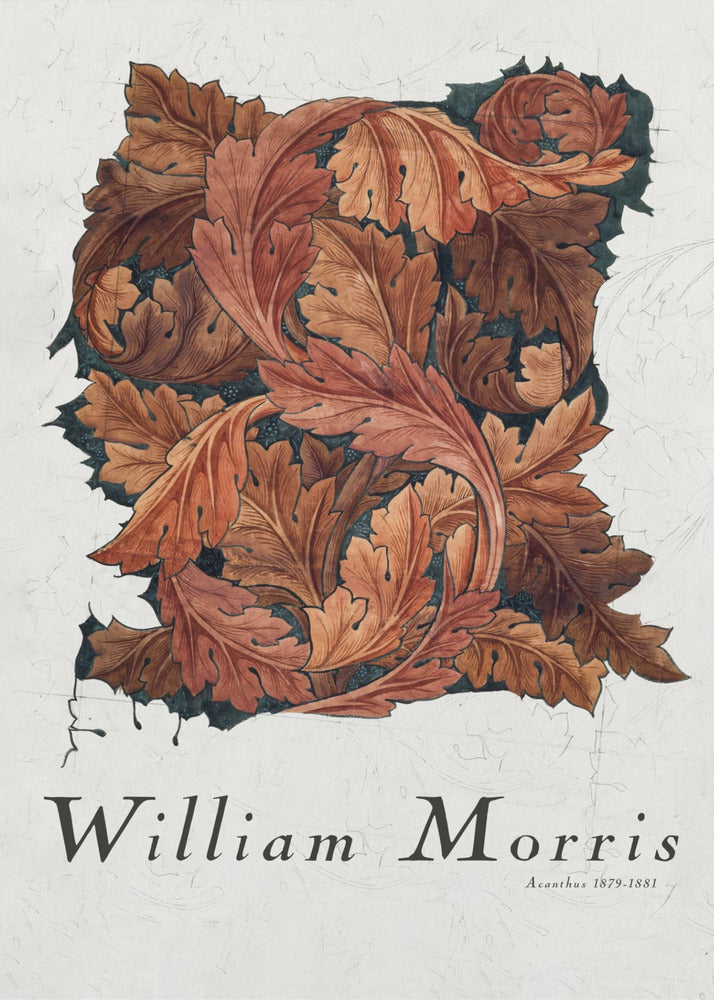 A framed art print by William Morris titled 'Acanthus 1879-1881'. The artwork features an intricate pattern of swirling acanthus leaves in shades of brown, rust, and orange against a dark background, all set on a textured off-white paper. Poster