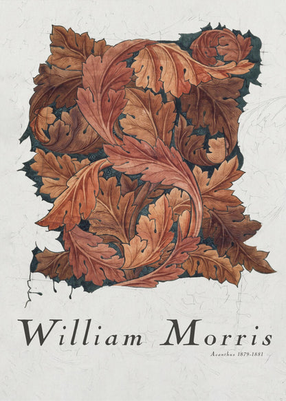 A framed art print by William Morris titled 'Acanthus 1879-1881'. The artwork features an intricate pattern of swirling acanthus leaves in shades of brown, rust, and orange against a dark background, all set on a textured off-white paper. Poster