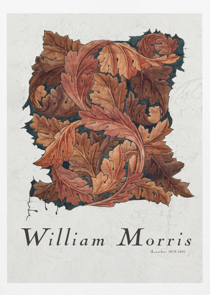 A framed art print by William Morris titled 'Acanthus 1879-1881'. The artwork features an intricate pattern of swirling acanthus leaves in shades of brown, rust, and orange against a dark background, all set on a textured off-white paper. Poster