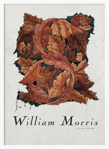 A framed art print by William Morris titled 'Acanthus 1879-1881'. The artwork features an intricate pattern of swirling acanthus leaves in shades of brown, rust, and orange against a dark background, all set on a textured off-white paper. Poster