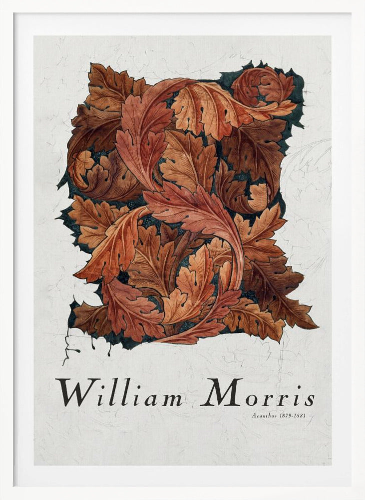 A framed art print by William Morris titled 'Acanthus 1879-1881'. The artwork features an intricate pattern of swirling acanthus leaves in shades of brown, rust, and orange against a dark background, all set on a textured off-white paper. Poster