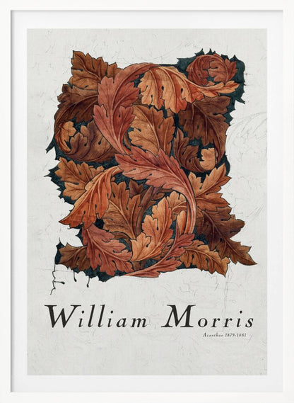 A framed art print by William Morris titled 'Acanthus 1879-1881'. The artwork features an intricate pattern of swirling acanthus leaves in shades of brown, rust, and orange against a dark background, all set on a textured off-white paper. Poster