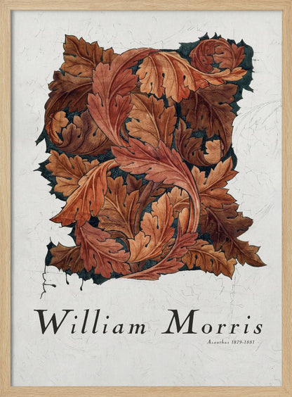A framed art print by William Morris titled 'Acanthus 1879-1881'. The artwork features an intricate pattern of swirling acanthus leaves in shades of brown, rust, and orange against a dark background, all set on a textured off-white paper. Poster