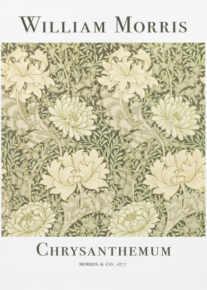 A framed art print of William Morris's 'Chrysanthemum' pattern from 1877. The design features a dense, repeating pattern of large, cream-colored chrysanthemums and foliage in shades of sage green on a dark green background. The poster has a white border with the artist's name at the top and the title at the bottom. Print