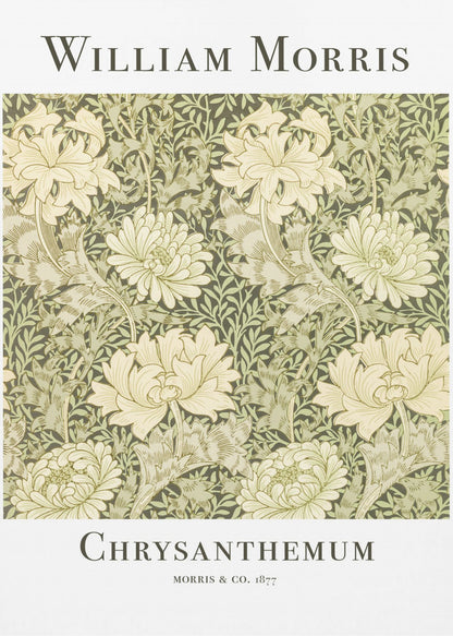 A framed art print of William Morris's 'Chrysanthemum' pattern from 1877. The design features a dense, repeating pattern of large, cream-colored chrysanthemums and foliage in shades of sage green on a dark green background. The poster has a white border with the artist's name at the top and the title at the bottom. Print