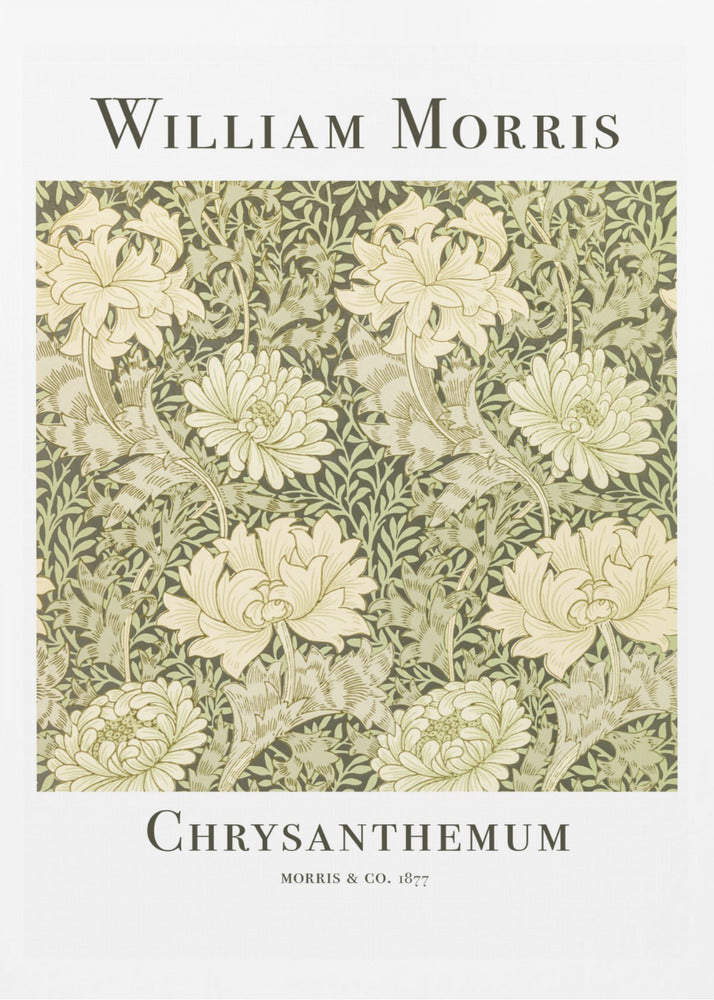 A framed art print of William Morris's 'Chrysanthemum' pattern from 1877. The design features a dense, repeating pattern of large, cream-colored chrysanthemums and foliage in shades of sage green on a dark green background. The poster has a white border with the artist's name at the top and the title at the bottom. Print