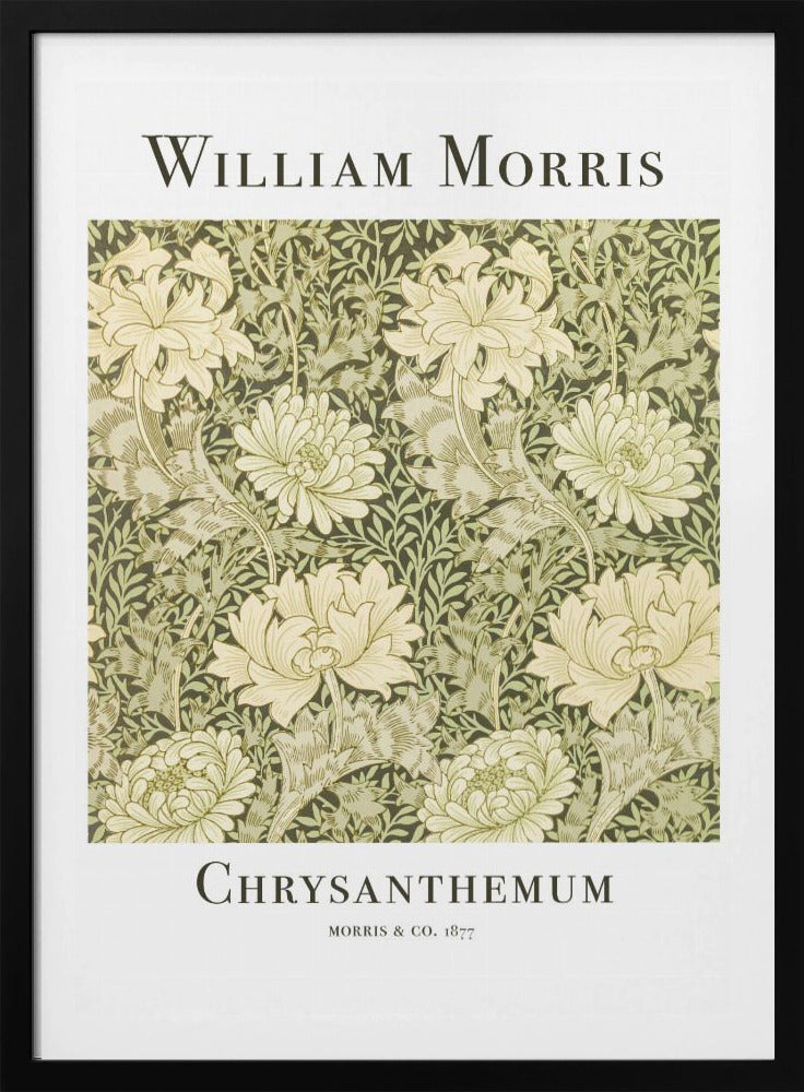A framed art print of William Morris's 'Chrysanthemum' pattern from 1877. The design features a dense, repeating pattern of large, cream-colored chrysanthemums and foliage in shades of sage green on a dark green background. The poster has a white border with the artist's name at the top and the title at the bottom. Print