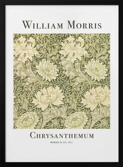 A framed art print of William Morris's 'Chrysanthemum' pattern from 1877. The design features a dense, repeating pattern of large, cream-colored chrysanthemums and foliage in shades of sage green on a dark green background. The poster has a white border with the artist's name at the top and the title at the bottom. Print