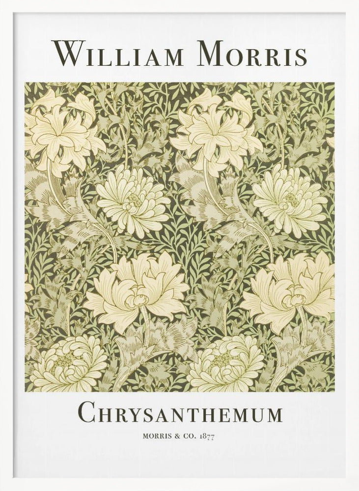 A framed art print of William Morris's 'Chrysanthemum' pattern from 1877. The design features a dense, repeating pattern of large, cream-colored chrysanthemums and foliage in shades of sage green on a dark green background. The poster has a white border with the artist's name at the top and the title at the bottom. Print