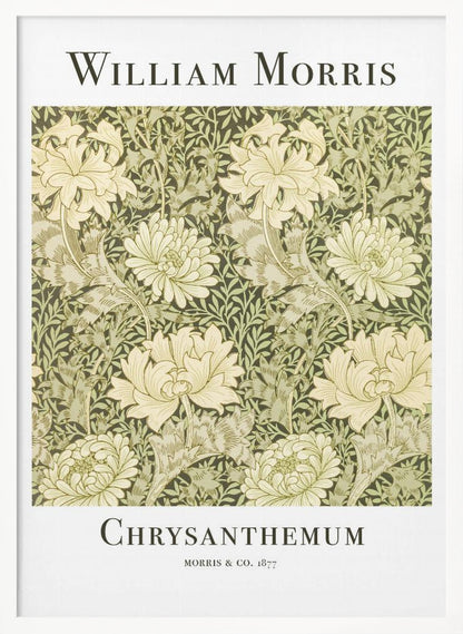 A framed art print of William Morris's 'Chrysanthemum' pattern from 1877. The design features a dense, repeating pattern of large, cream-colored chrysanthemums and foliage in shades of sage green on a dark green background. The poster has a white border with the artist's name at the top and the title at the bottom. Print