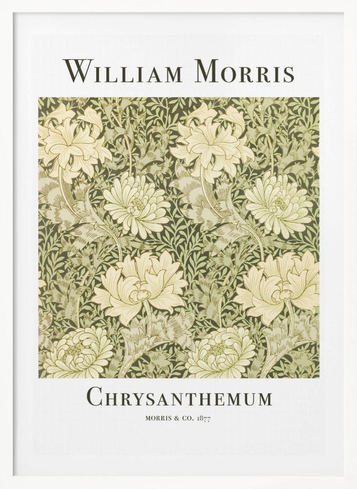 A framed art print of William Morris's 'Chrysanthemum' pattern from 1877. The design features a dense, repeating pattern of large, cream-colored chrysanthemums and foliage in shades of sage green on a dark green background. The poster has a white border with the artist's name at the top and the title at the bottom. Print
