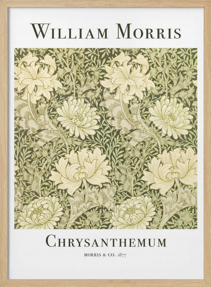 A framed art print of William Morris's 'Chrysanthemum' pattern from 1877. The design features a dense, repeating pattern of large, cream-colored chrysanthemums and foliage in shades of sage green on a dark green background. The poster has a white border with the artist's name at the top and the title at the bottom. Print