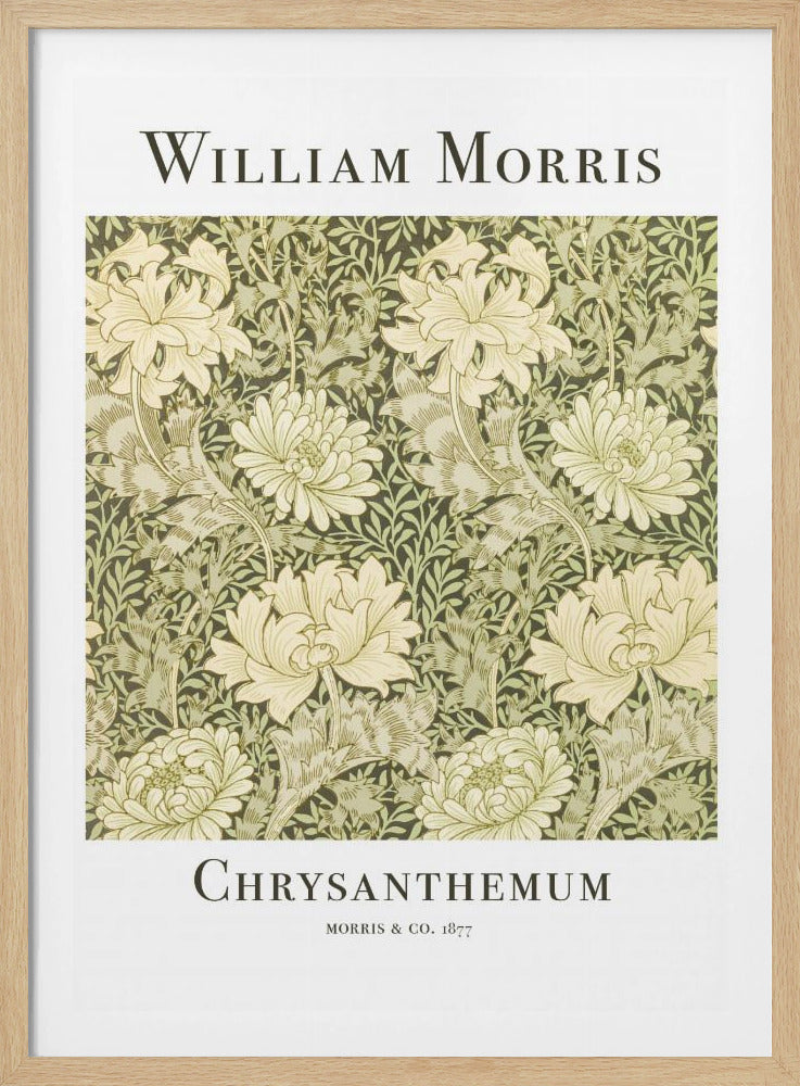 A framed art print of William Morris's 'Chrysanthemum' pattern from 1877. The design features a dense, repeating pattern of large, cream-colored chrysanthemums and foliage in shades of sage green on a dark green background. The poster has a white border with the artist's name at the top and the title at the bottom. Print