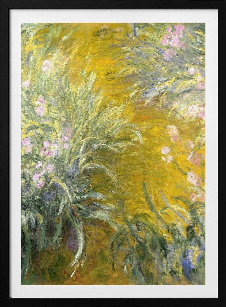 An Impressionist painting by Claude Monet of a sunlit garden, possibly Giverny. The canvas is filled with energetic brushstrokes depicting tall green leaves and soft pink irises against a vibrant, almost abstract background of golden yellow. Print