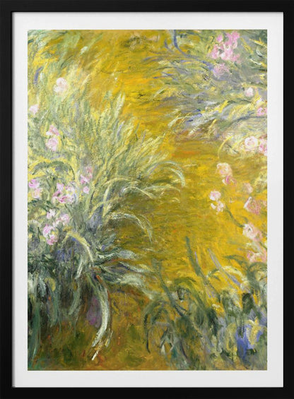 An Impressionist painting by Claude Monet of a sunlit garden, possibly Giverny. The canvas is filled with energetic brushstrokes depicting tall green leaves and soft pink irises against a vibrant, almost abstract background of golden yellow. Print