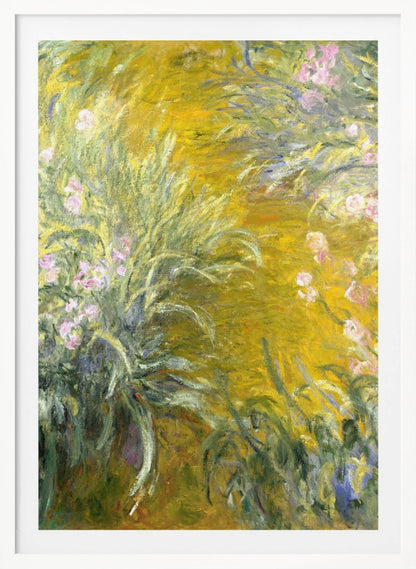 An Impressionist painting by Claude Monet of a sunlit garden, possibly Giverny. The canvas is filled with energetic brushstrokes depicting tall green leaves and soft pink irises against a vibrant, almost abstract background of golden yellow. Print