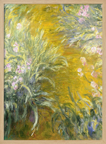 An Impressionist painting by Claude Monet of a sunlit garden, possibly Giverny. The canvas is filled with energetic brushstrokes depicting tall green leaves and soft pink irises against a vibrant, almost abstract background of golden yellow. Print