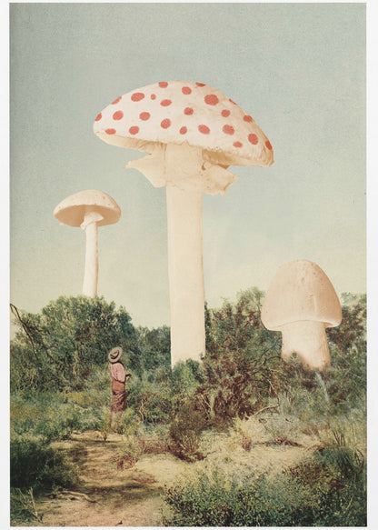 A vintage-style collage depicting a surreal landscape where a small person stands in a green, bushy field dwarfed by three enormous mushrooms, one of which is a red and white spotted toadstool. Wall Art