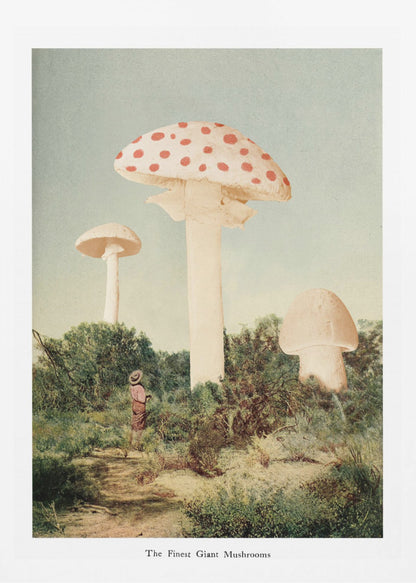A vintage-style collage depicting a surreal landscape where a small person stands in a green, bushy field dwarfed by three enormous mushrooms, one of which is a red and white spotted toadstool. Wall Art
