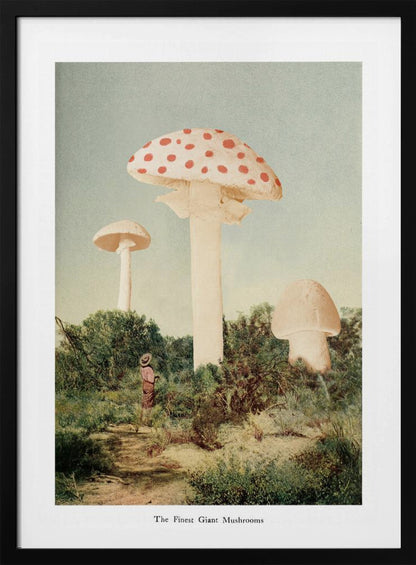 A vintage-style collage depicting a surreal landscape where a small person stands in a green, bushy field dwarfed by three enormous mushrooms, one of which is a red and white spotted toadstool. Wall Art