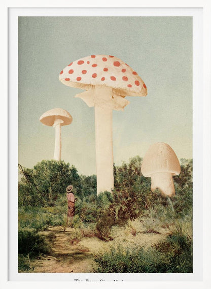 A vintage-style collage depicting a surreal landscape where a small person stands in a green, bushy field dwarfed by three enormous mushrooms, one of which is a red and white spotted toadstool. Wall Art