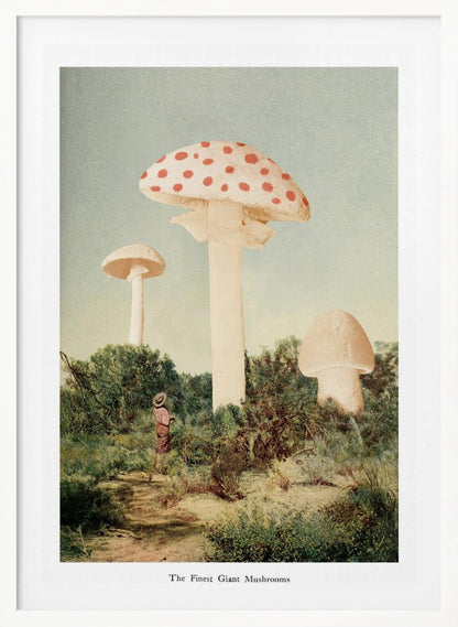 A vintage-style collage depicting a surreal landscape where a small person stands in a green, bushy field dwarfed by three enormous mushrooms, one of which is a red and white spotted toadstool. Wall Art