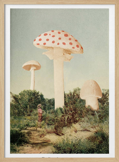 A vintage-style collage depicting a surreal landscape where a small person stands in a green, bushy field dwarfed by three enormous mushrooms, one of which is a red and white spotted toadstool. Wall Art