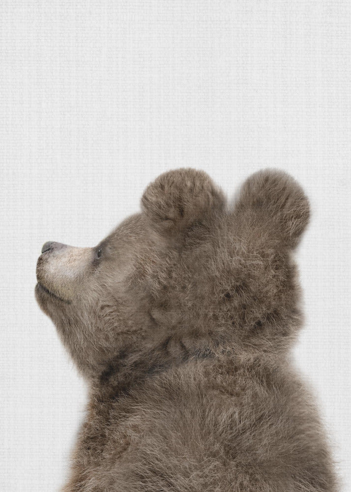 Peekaboo Baby Bear Back - Poster / Art Print