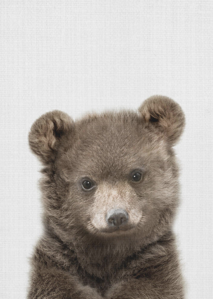 Peekaboo Baby Bear - Poster / Art Print