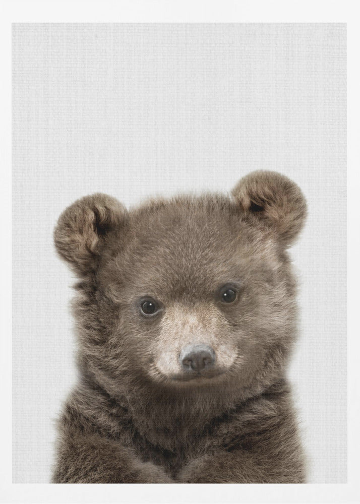 Peekaboo Baby Bear - Poster / Art Print