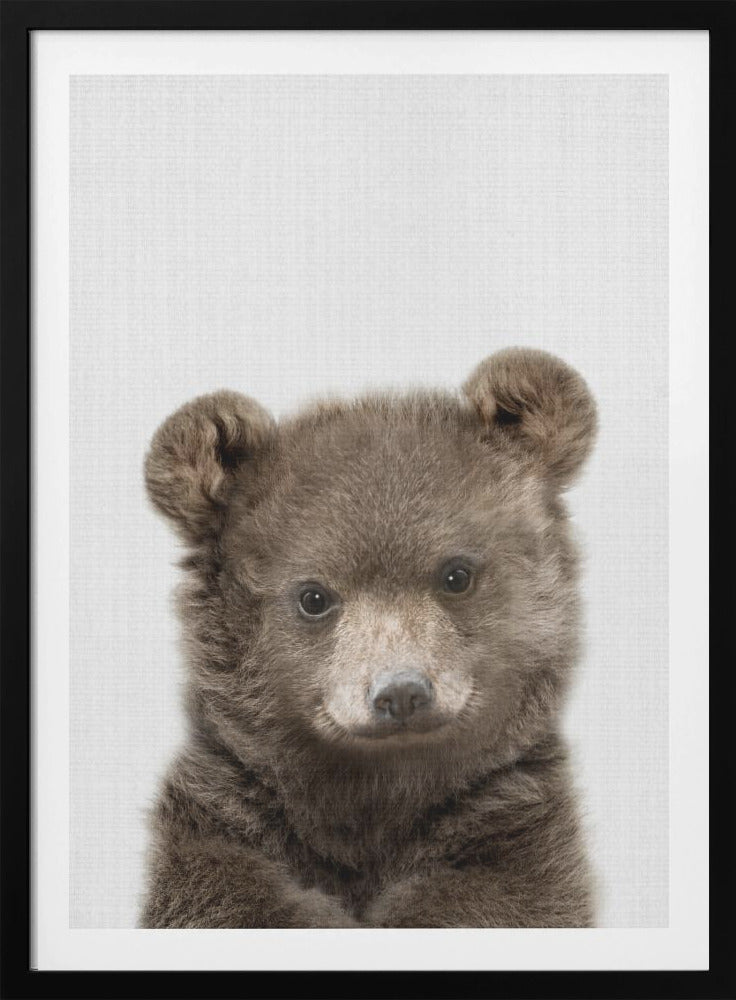 Peekaboo Baby Bear - Poster / Art Print