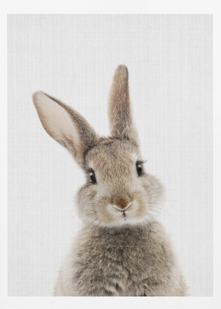 Peekaboo Bunny - Poster / Art Print