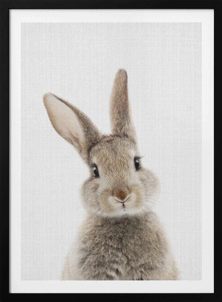 Peekaboo Bunny - Poster / Art Print