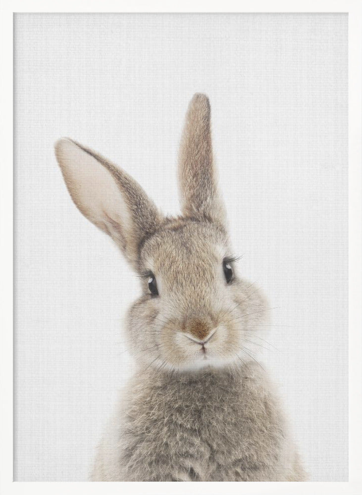 Peekaboo Bunny - Poster / Art Print